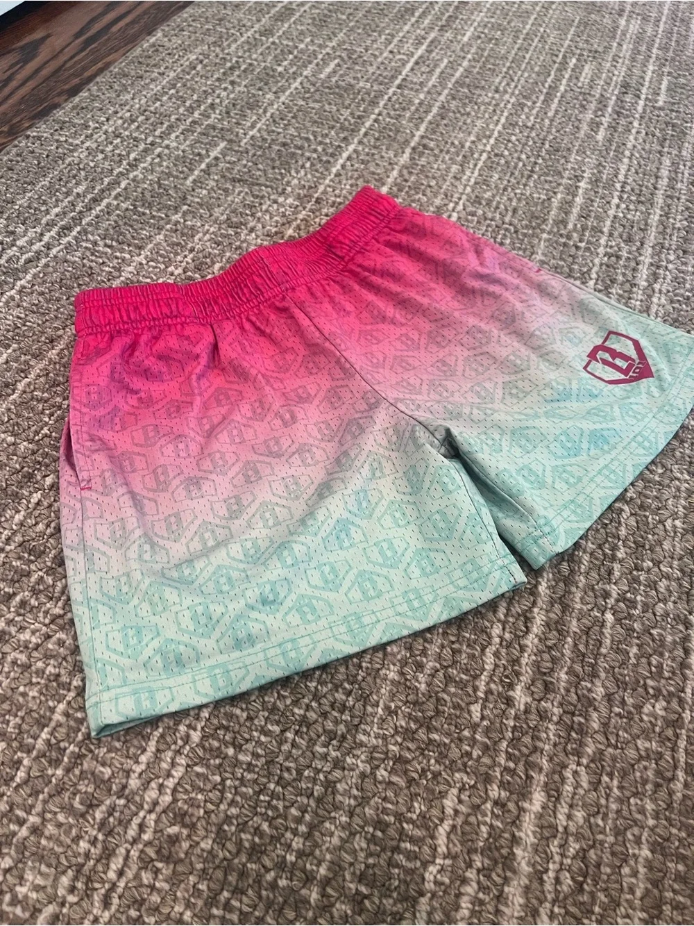 Baseball Lifestyle 101 Watermelon Shorts YL